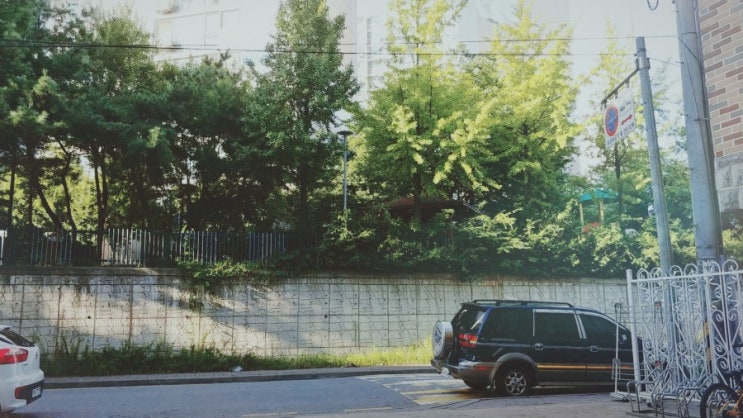  "15643"숙취, 그리고 캠핑