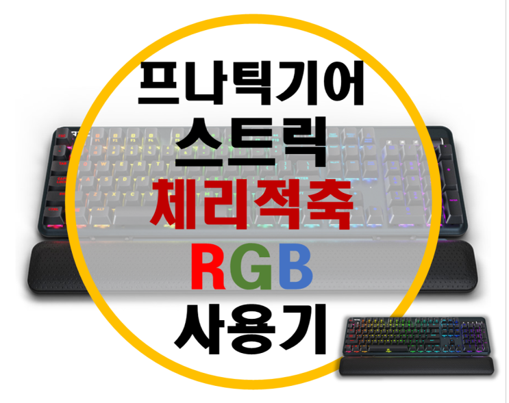 프나틱기어 스트릭 체리 RGB 기계식 게이밍 키보드 적축 사용기