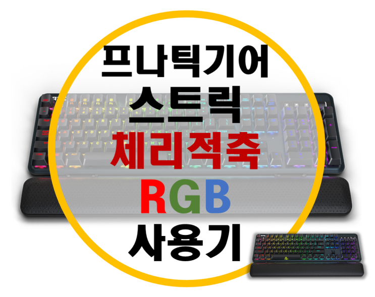 프나틱기어 스트릭 체리 RGB 기계식 게이밍 키보드 적축 사용기