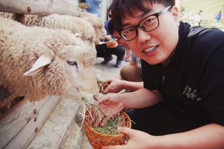  소망 김기사의 간략한 인생 이야기