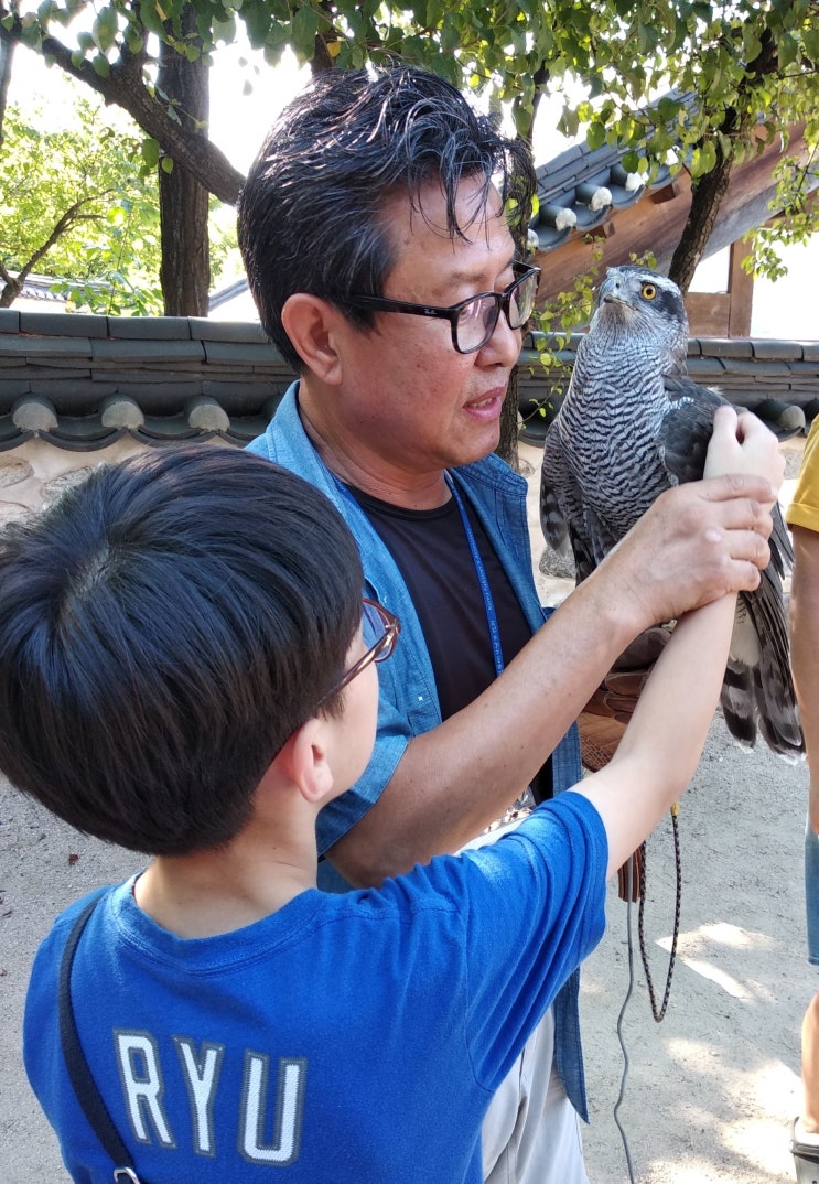  남산공원 매사냥 체험