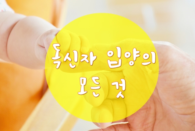  독신자 입양의 모든 것!!!