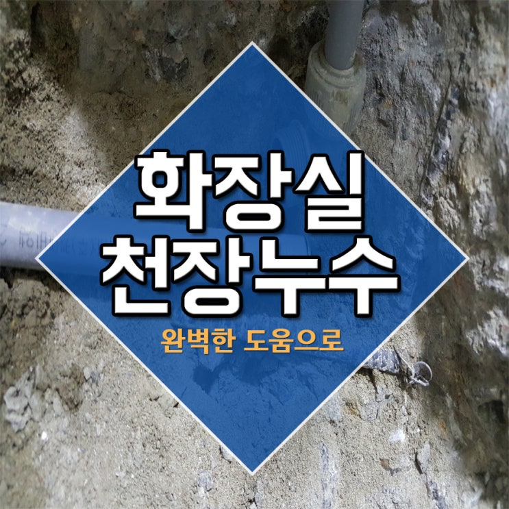  화장실천장누수 완벽한 도움으로