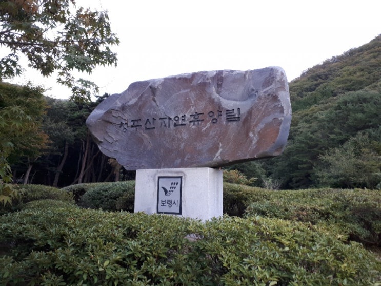 보령 성주산자연휴양림