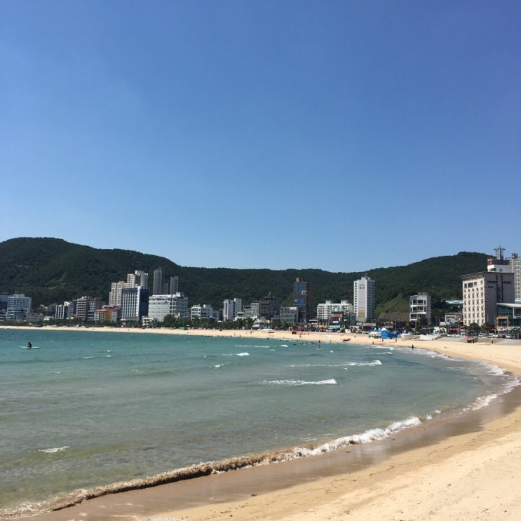 부산 가볼 만한 곳 : 송정 죽도공원