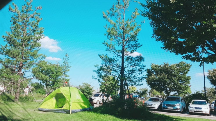  [26주 3일~5일] 임신 7개월 한강 첫 나들이, 혼자 발톱을 못깍아...