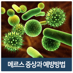  중동호흡기증후군, 메르스의 증상과 예방방법