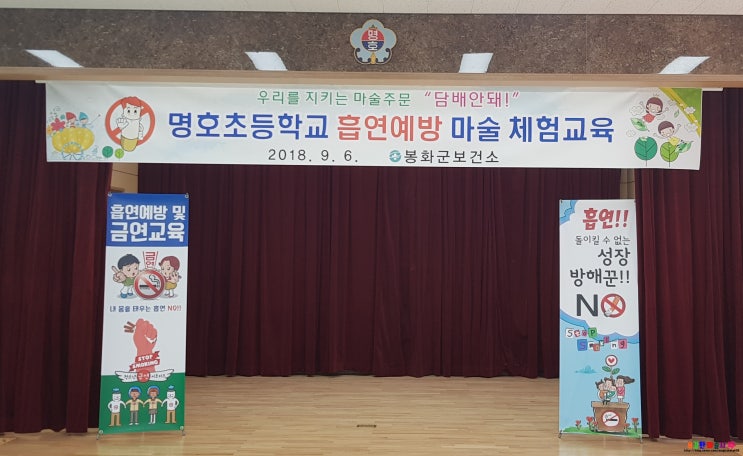  흡연예방교육 !! 흡연예방마술교육 및 금연체험부스!
