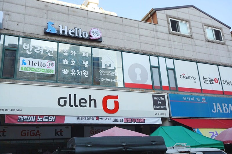 사진 3