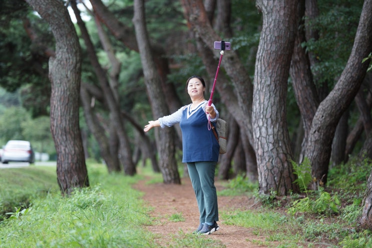  벼 이삭 영글 즈음 경주 화랑교육원 앞길을 걸으며