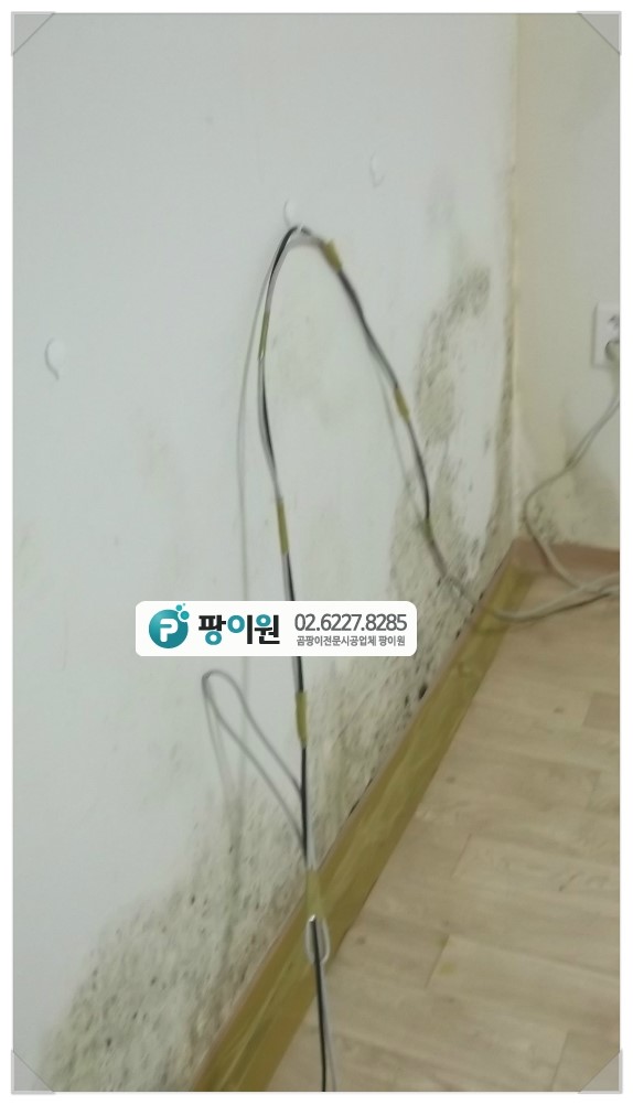  결로현상 벽지곰팡이 그냥 청소만 할꺼에요?