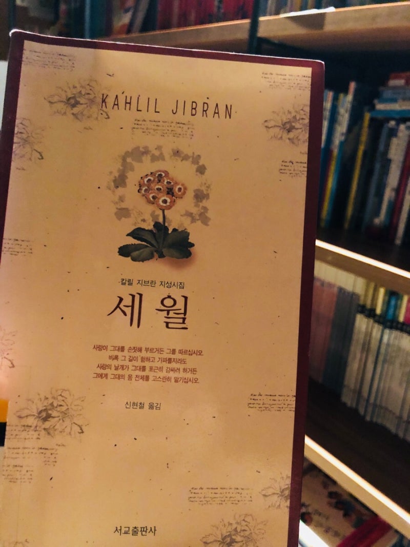 Outer Reincarnation CYOA - 업데이트 1 : r/makeyourchoice, image size:800x1067