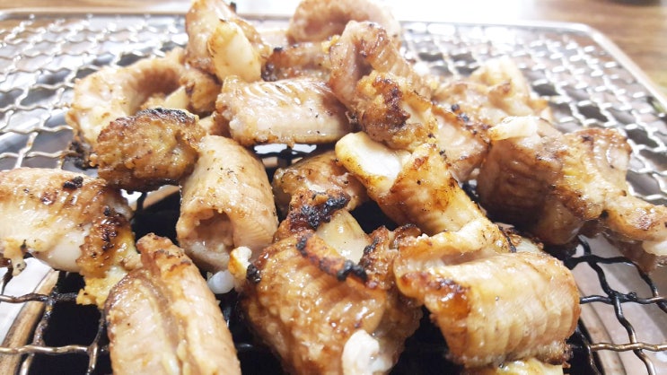  제주시 화북 산꼼장어구이맛집 5%할인팁!