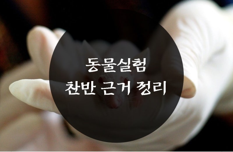 동물실험 찬성 근거와 반대 근거 핵심 정리 : 네이버 블로그