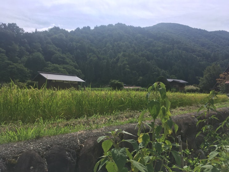  [주부지방 여행]시라카와고(Shirakawago)①다카야마에서 시라카와고마을 까지(다카야마 노히 버스센터)