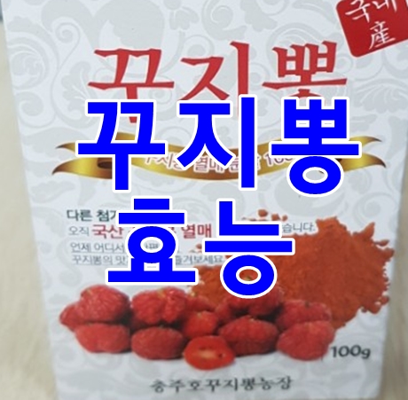 꾸찌뽕효능과 먹는법 알아보기
