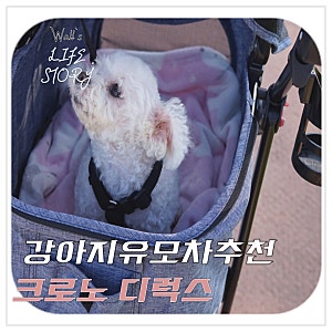 강아지유모차추천 - 크로노디럭스유모차 안전한 강아지산책을위해