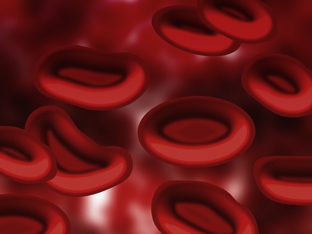  에이즈 HIV바이러스환자의 면역력 높이는 방법 [AHCC효능]