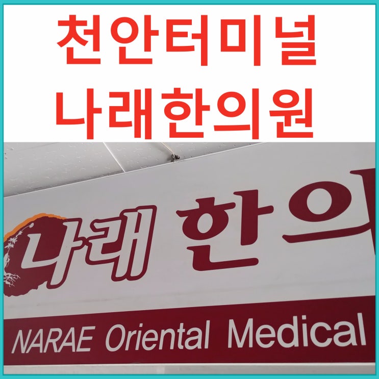  천안터미널 한의원 : 진료시간 및 치료항목 안내 : 신부동 나래한의원