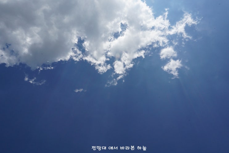  「북서울 꿈의숲 전망대」 공원 산책코스 드라마 아이리스 촬영지