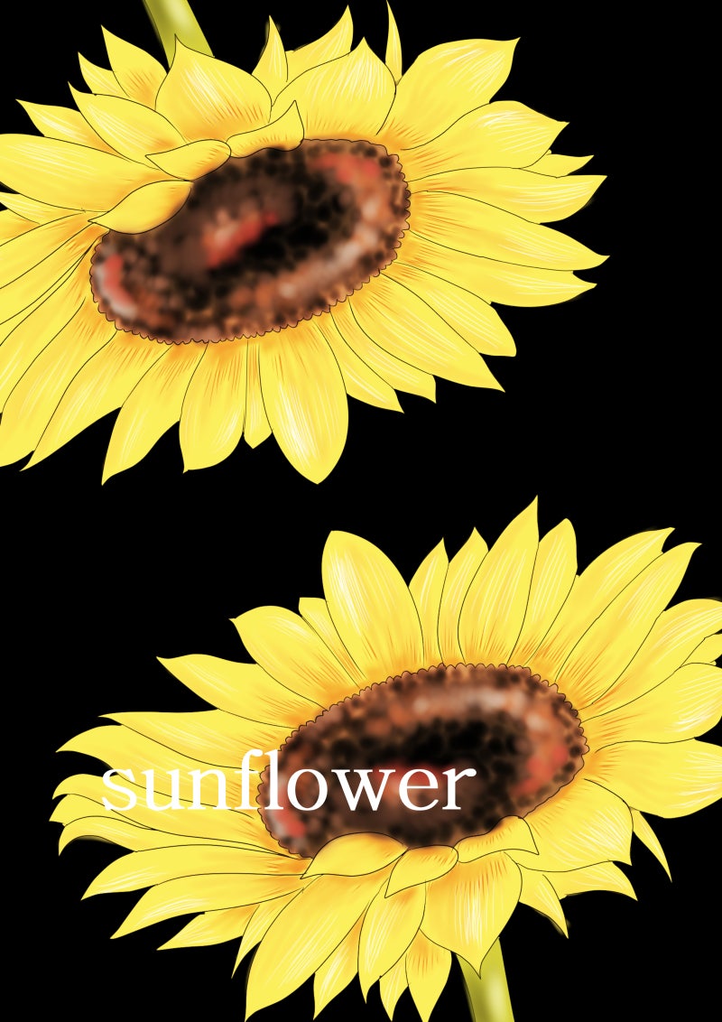 예쁜일러스트 해바라기 꽃 : 네이버 블로그, image size:800x1132