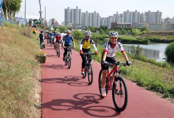 술 취한 자전거…보험도 '날벼락' 술 취한 자전거…보험도 '날벼락'