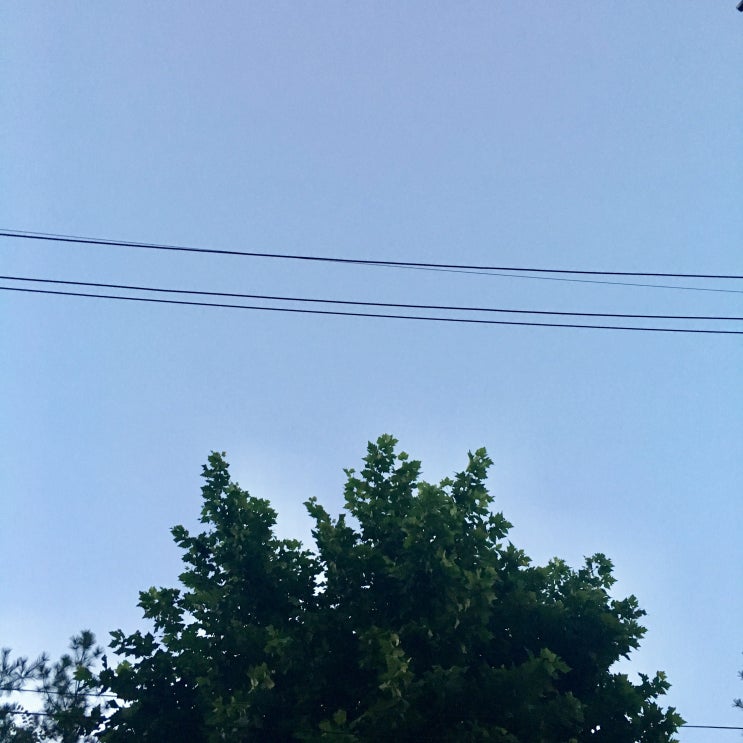  9월2째주