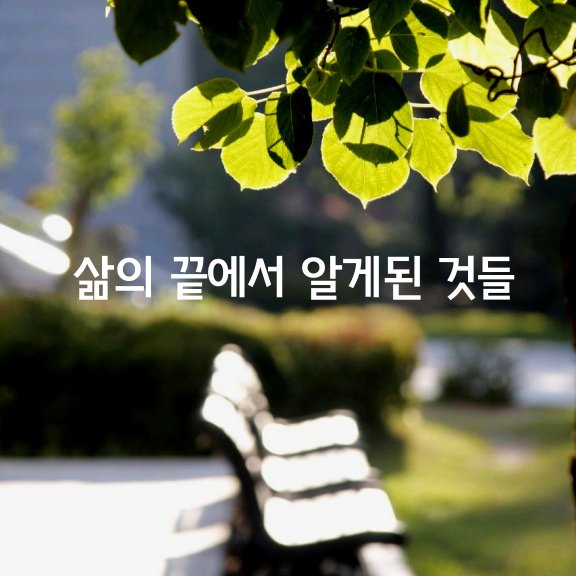  삶의 끝에 와서야 알게된 것들