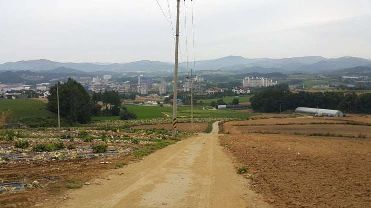  집터