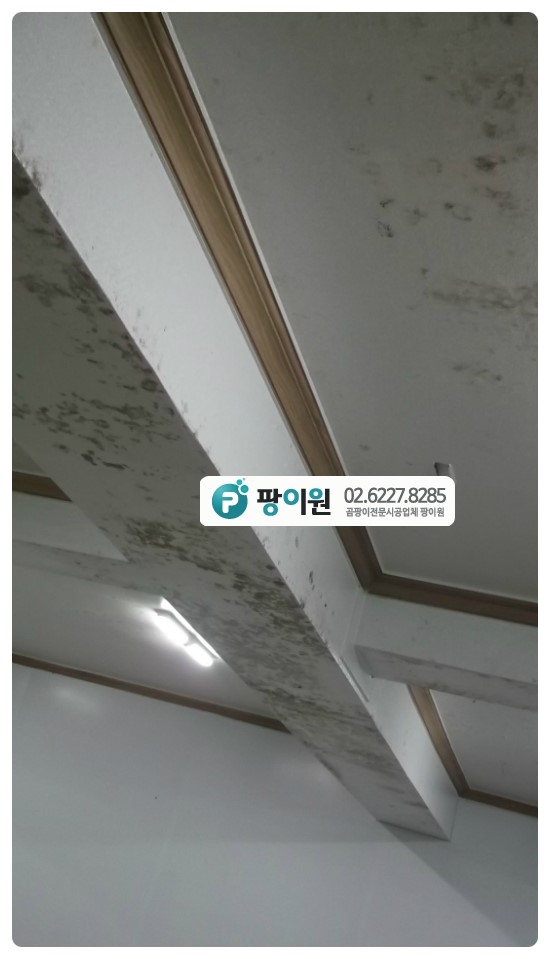  천장 곰팡이제거? 원인은?