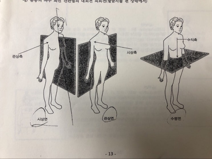 근골격 해부학 (축/견관절의 운동)