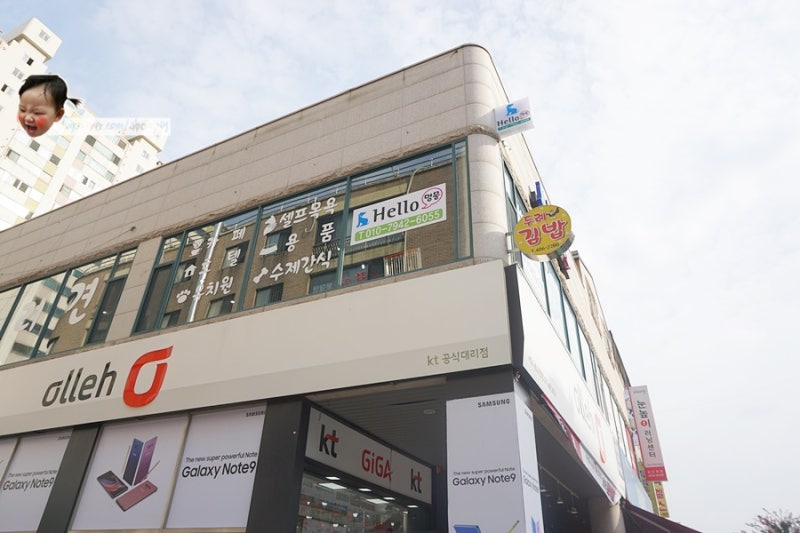 멍뭉