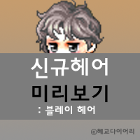  [신규 캐시 T_1.2.074] 메이플스토리 신규헤어 미리보기 : 블레이 헤어