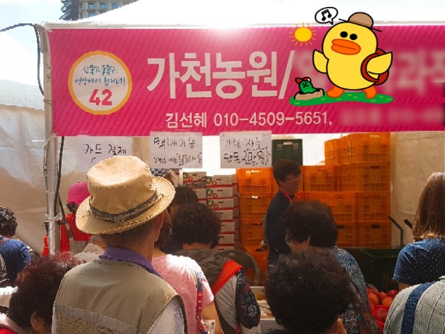 영양고추축제 자두판매 및 홍보 핫페스티벌 행사 참가로 서울시청 다녀왔어요~!!
