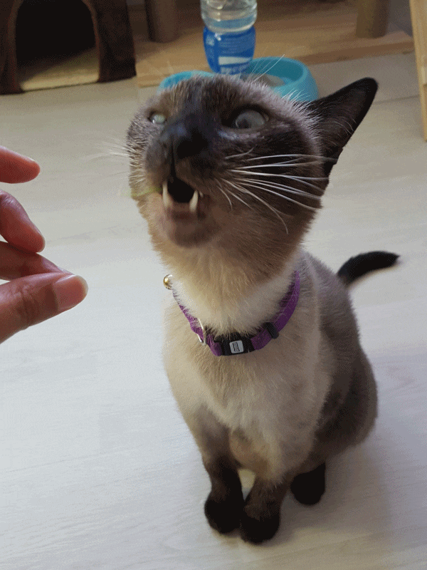  우적우적 (2)~~