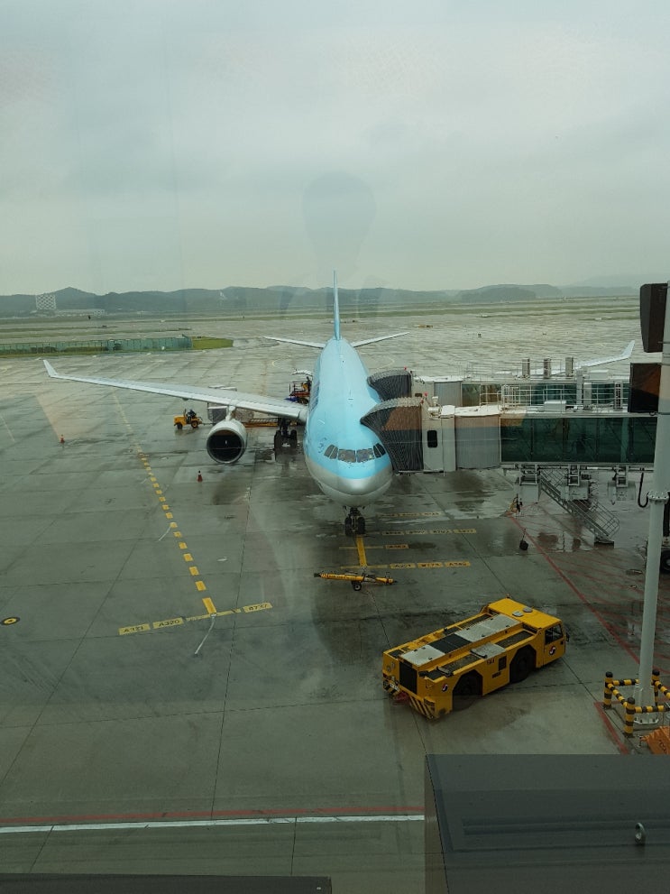  중국 상해 여행 동방명주 푸동공항 숙소 후기(1편)