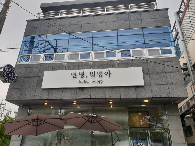 안녕멍멍아