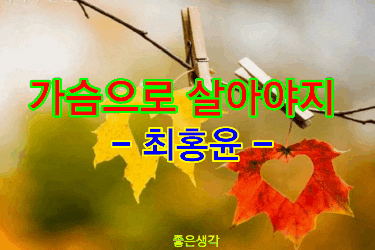  가슴으로 살아야지-최홍윤