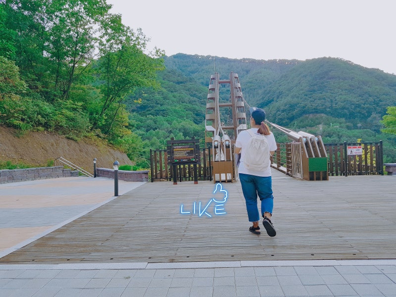 30대 여성백팩 안다르 노트릭 요즘 유행하는 가방, 데일리가방으로 추천!