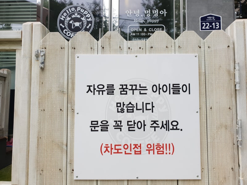 사진 2