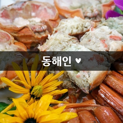  속초 맛집 추천 간장홍게와 박달홍게를 동시에 먹어보자