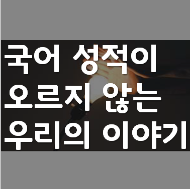  수능 국어 공부법 좀 알려주세요..