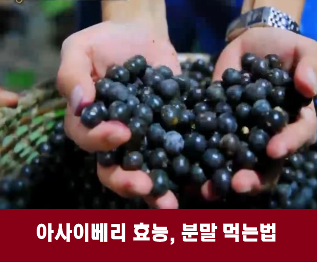 발효 소화 효소 추천 :: 벨로핏 효소 쏙 아사이베리