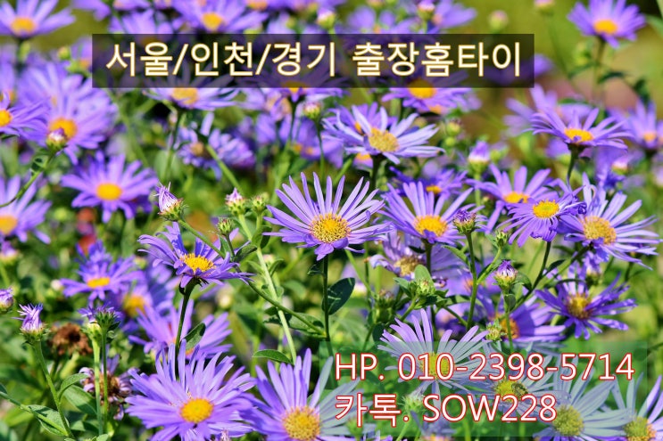  안산지역 빨리올수있는 출장태국마사지, 스피드가 생명!