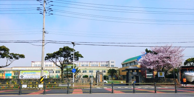  뚜벅이의 제주도 자유여행 2일차 오전 - 평대리 해수욕장/제주바당캔들/대수길다방/성산/고궁 게스트하우스/성산포항/우도/우도 가는방법
