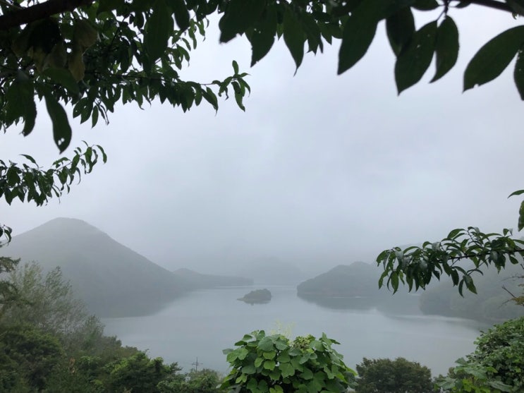  충주 퀸스벨리캠핑장