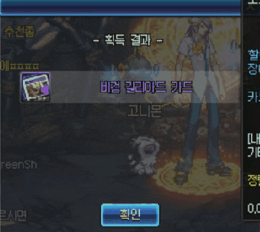  던파 할렘 지역 마부 레어 카드 옵션 정리