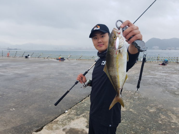  부산 영도 조도방파제 쇼어지깅