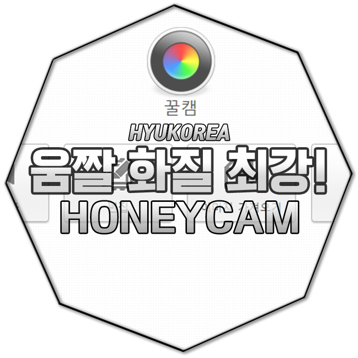 움짤 만들기 프로그램 추천! 블로그 포스팅엔 '꿀캠(HoneyCam)' 화질 최고!