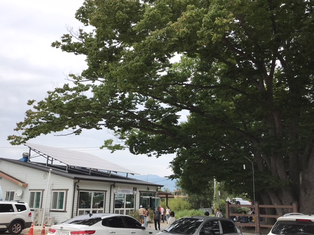  건강해지는 느낌의 우렁이쌈밥 담양 보자기농가맛집